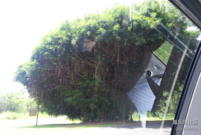 【勞動(dòng)者的歌】+塞班島+我們自己