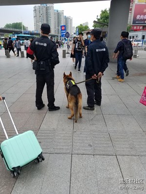 【勞動者的歌】+南京+*叔叔和人類最好的朋友