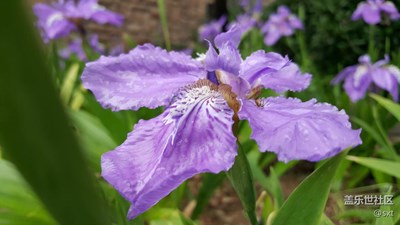 來著上一代旗艦的怒吼