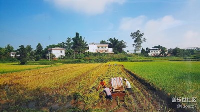 【勞動(dòng)者的歌】+宜賓李莊+樸實(shí)的農(nóng)民