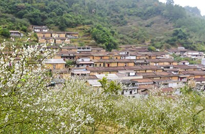 新興鄉(xiāng)野行