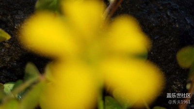 S7游走在城市公園。