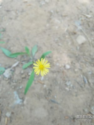 動(dòng)物園隨手拍