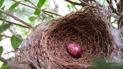 不知道為什么只剩一個(gè)了