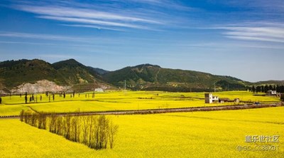 農(nóng)家春色