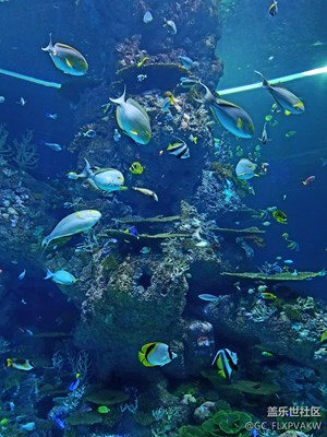 深海