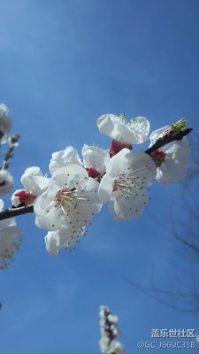 留住瞬間之美
