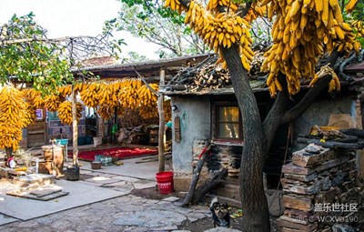 農(nóng)家樂