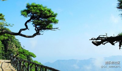 隨拍