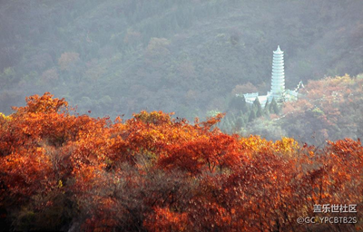 又是一年紅葉時(shí)