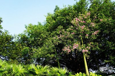 筆架山公園