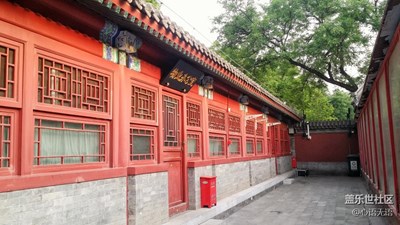 小院的盛開(kāi)