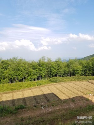 家鄉(xiāng)之美