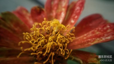 喜歡拍照，就這樣用手機(jī)拍照！