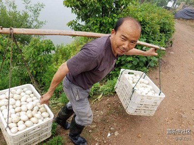 試一試手機(jī)傳圖片的信息