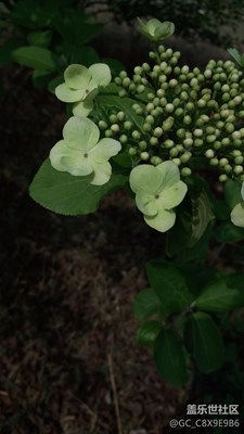謝別春天