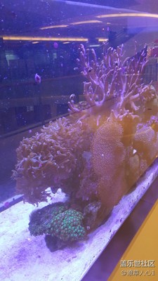 好久沒有來了。