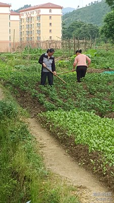 【勞動(dòng)者的歌】+贛州+媽媽是一幅勞作的畫（9）