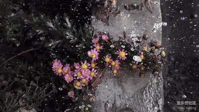 凝固時(shí)間 · 定格剎那