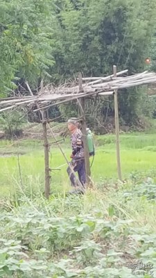 【勞動者的歌】+贛州+媽媽是一幅勞作的畫（6）