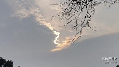 隨拍