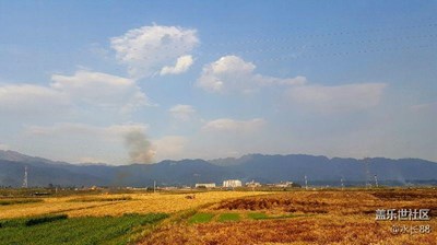 收割的季節(jié)，宛如油畫(huà)