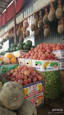 新疆瓜果