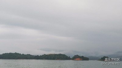新手