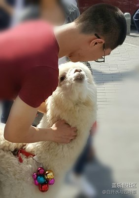 【可愛的它】+北京+深情對(duì)望