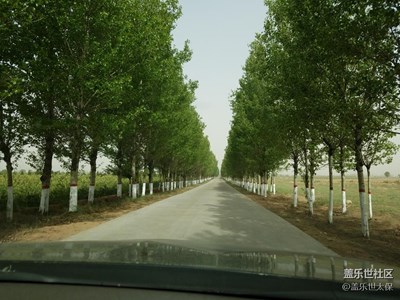 林蔭大道