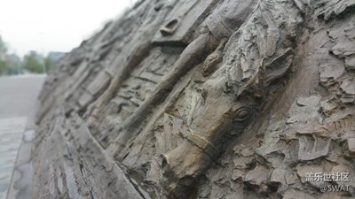 選擇性對(duì)焦