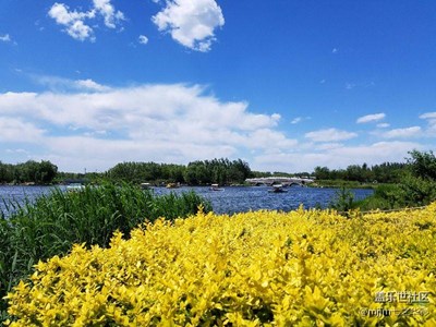 愛(ài)，不一樣。