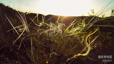 相同的調(diào)調(diào)