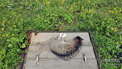 【可愛的它】+長沙+休息~休息一會