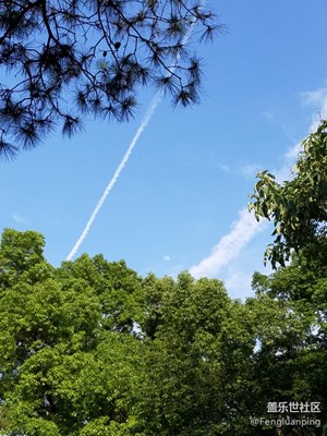 飛機