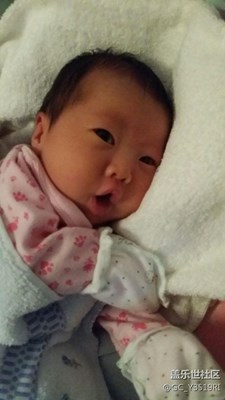 我家22天的寶貝