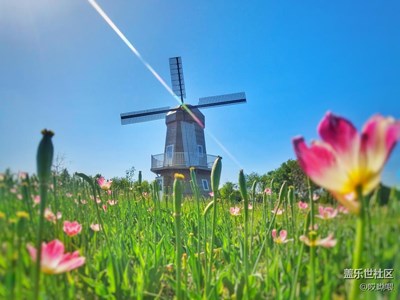 看完黑白再來點顏色吧