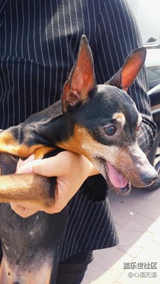 【可愛的它】，北京，不棄不離