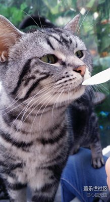 【可愛(ài)的它】北京，吃是一種信仰