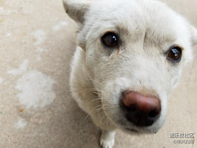 【可愛的它】+遼寧  +萌萌噠