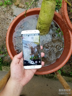 探索水世界——三星Galaxy S7水下拍攝
