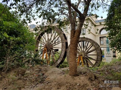 我在武漢