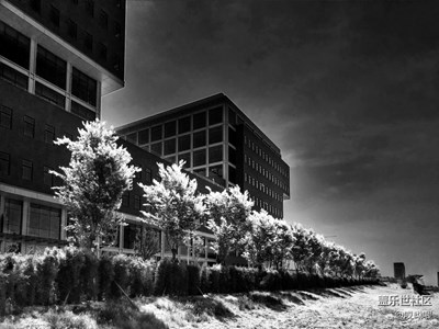 就這么幾張照片