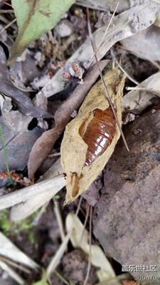 【可愛(ài)的它】+寧波+生機(jī)