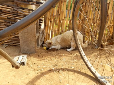 【可愛的它】+遼寧  +萌萌噠在藏東西呢