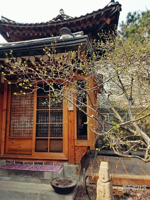 來一場放松心情的旅行