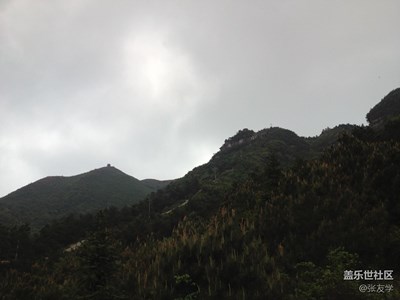 手機(jī)拍照分享，野生杜娟花，不喜勿噴！