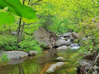 S7 edge  遇到了好景色我們就會下水玩玩