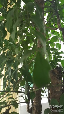 感謝大家一直以來的支持！??！