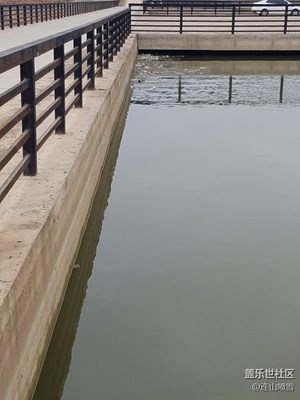 湖中小橋